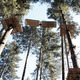 Parc Aventure Montoz'Arbres à Échassières