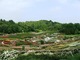 Photo Parc Floral de la Colline aux Oiseaux