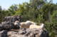 Photo Parc le Theil