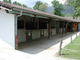 Photo Poney Club d'Echenevex