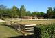 Poney-Club de Darel en Agenais à Pont-du-Casse