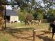 Photo Poney Club du Gué de Selle
