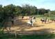 Photo Poney Club du Gué de Selle