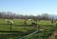 Photo Poney-club du Tilleul