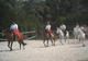 Photo Poney Club et Centre équestre des Mesnuls