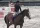 Photo Poney Club et Centre équestre des Mesnuls