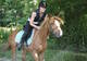 Photo Poney Club et Centre équestre des Mesnuls