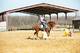 Photo Poney Club la Bigonniére