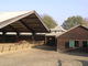 Photo Poneyland de Thiais