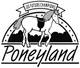 Photo Poneyland de Thiais