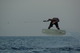 Photo Prunete Wind School