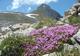 Rando au pays des 4 Montagnes à Villard-de-Lans
