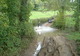 Randonnées en quads à Chambost-Allières