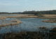 Réserve naturelle de Saint-Quentin-en-Yvelines à Trappes