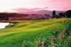 Royal Mougins Golf Club à Mougins