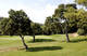 Photo Saint Philippe Golf & Academy