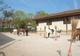 USMT Section Équitation à Maisons-Laffitte