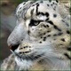 Photo Zoo d'Asson
