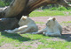 Photo Zoo de Jurques