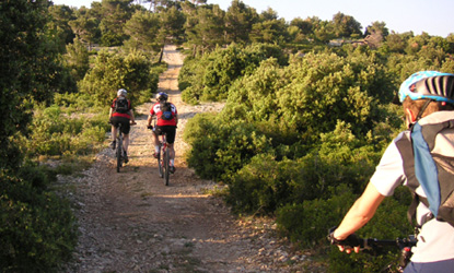 VTT