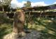 Photo A la découverte des traces des animaux