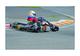 Photo Deux sessions 15 min de karting 390cc près de Nice