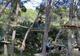 Photo Entrée junior au parc aventure et labyrinthe dans l'Hérault