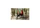 Photo Location de VTT et parcours aventure à Fontainebleau