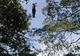 Photo Parcours acrobatique en forêt et Tir à l'arc 3D en Corrèze