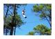 Photo Parcours acrobatique sur la presqu'île du Cap-Ferret