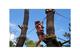 Photo Parcours aventure et grimpe d'arbre en Aquitaine