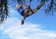 Photo Parcours aventure et paintball dans les Hautes-Alpes