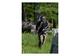 Photo Parcours aventure et paintball dans les Hautes-Alpes