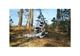 Photo Parcours aventure et paintball en Aquitaine