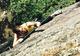 Photo Parcours en forêt et via ferrata dans le Puy-de-Dôme