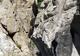Photo Spéléologie en Ardèche