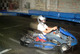 Photo Stage Karting - Toulouse