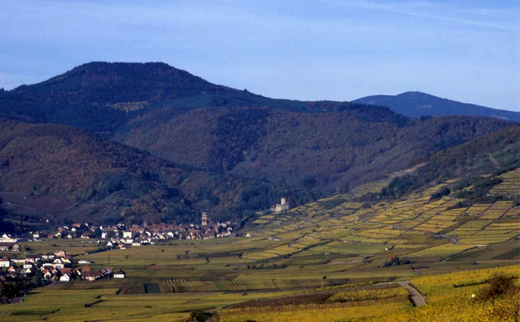 10 promenades autours de Kaysersberg par le Club Vosgien à Kaysersberg, Haut-Rhin (68)