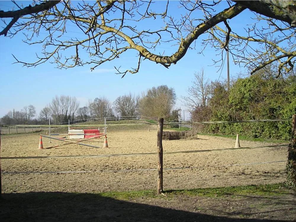A Cheval !!! à Saint-Clément-des-Levées, Maine-et-Loire (49)