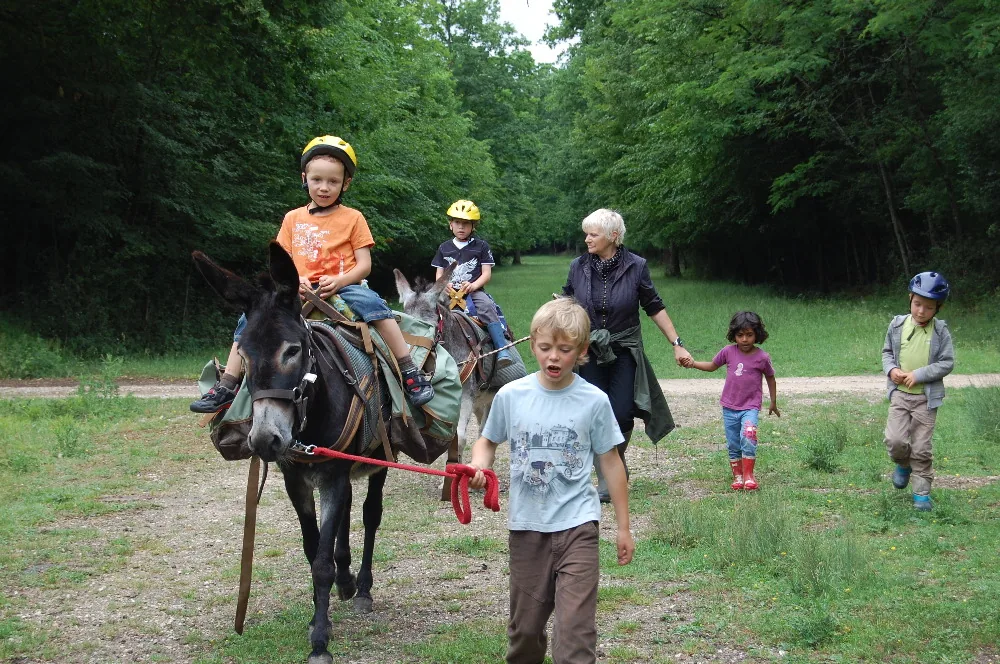 A Dos d'Ane à Tour-en-Sologne, Loir-et-Cher (41)