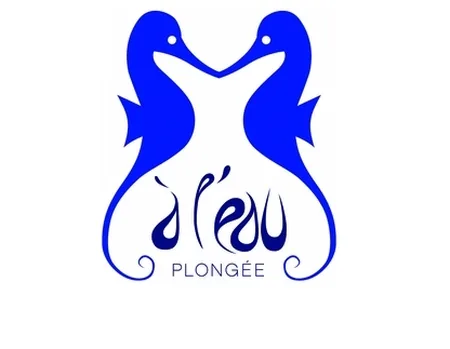 A l'Eau Plongée Ecole Subaquatique Landaise