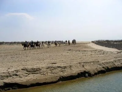 Abrivado Ranch à Le Grau-du-Roi, Gard (30)