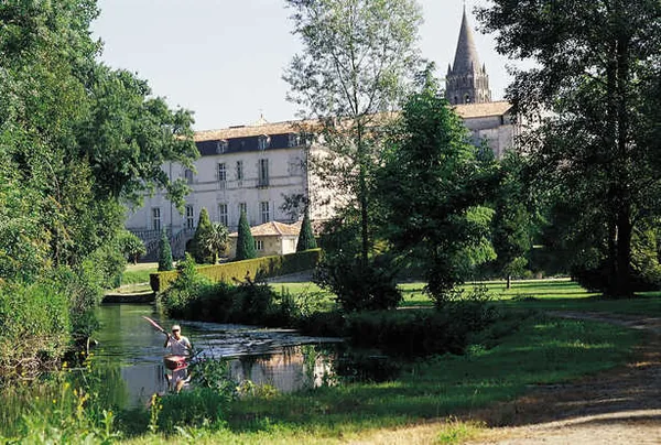 Abbaye de Bassac à Bassac, Charente (16)