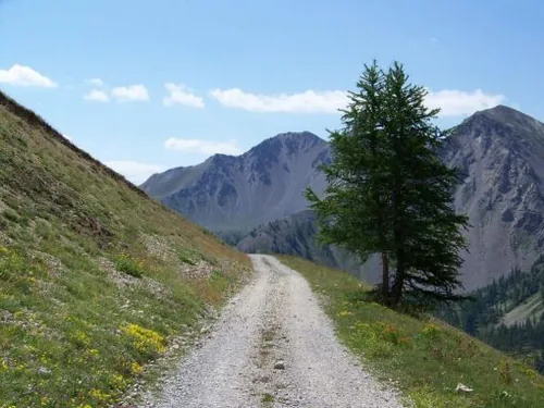 Accompagnateur en Montagne - Nicolas Thevenet à Barcelonnette, Alpes-de-Haute-Provence (04)