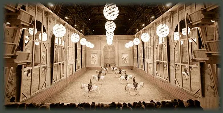Académie du spectacle équestre de Versailles à Versailles, Yvelines (78)