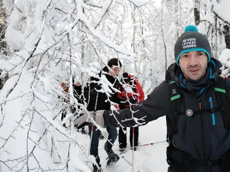 Accompagnateur Yannick Holtzer à Épinal, Vosges (88)