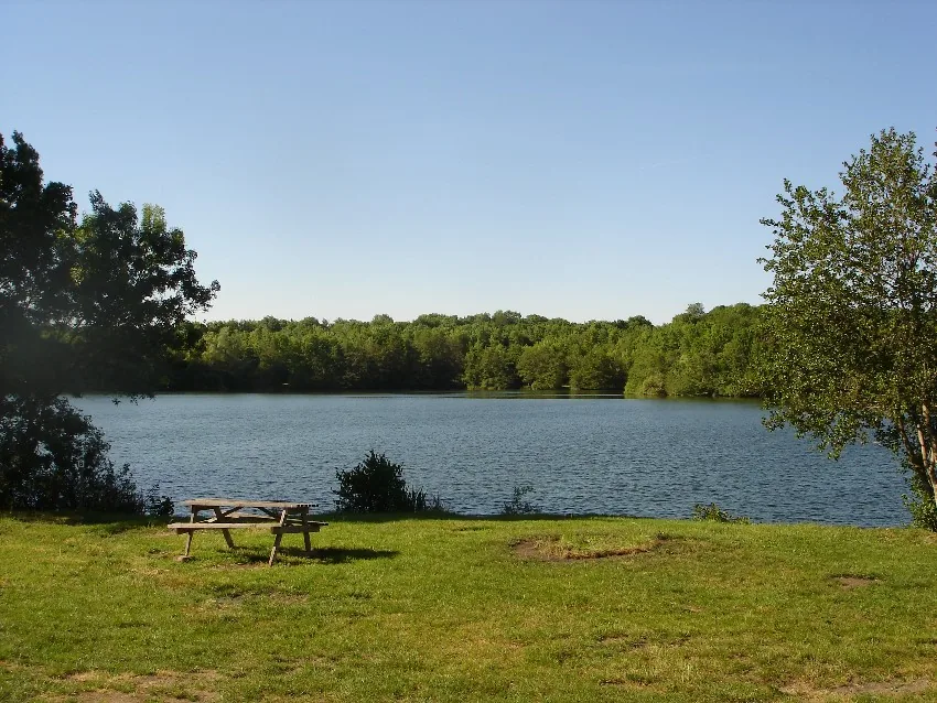 Adventure Pêche à Laives, Saône-et-Loire (71)