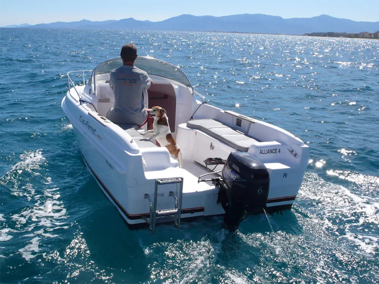 Alliance Nautique Location à Canet-en-Roussillon, Pyrénées-Orientales (66)