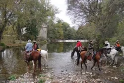 Amicale de Cavaliers Randonneurs à Saint-Jean-de-Cornies, Hérault (34)