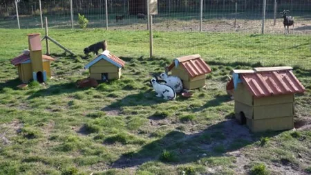 Animalia Parc à Naujac-sur-Mer, Gironde (33)
